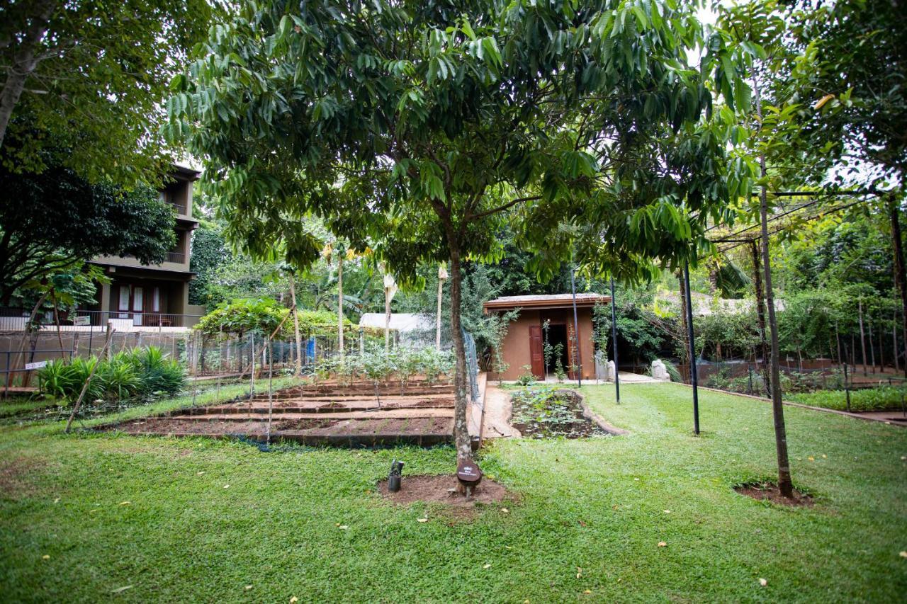 Kalu'S Hideaway Udawalawe Hotel Exterior foto