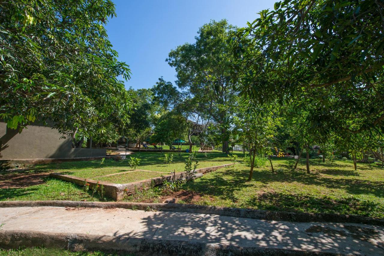 Kalu'S Hideaway Udawalawe Hotel Exterior foto